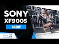 Обзор телевизора SONY KD-55XF9005, 2018/2019/2020 Smart TV 4K, Android, Expert Technology