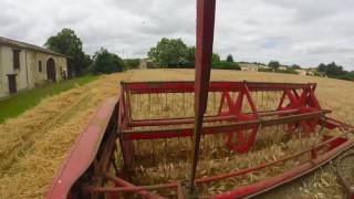 Moisson en Massey Ferguson 410