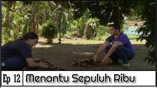 Download Menantu Sepuluh Ribu | Episod 12 Video MP3 Menantu Sepuluh Ribu | Episod 12
