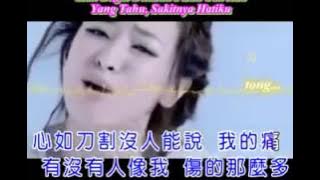 Wo De Xin Hao Leng - Hatiku Begitu Dingin