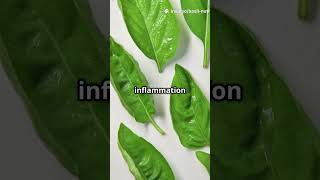 Basil Benefits 🌿 Antioxidants & Anti-Inflammatory Power Explained!