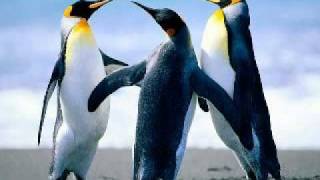 Juice - Not In Love