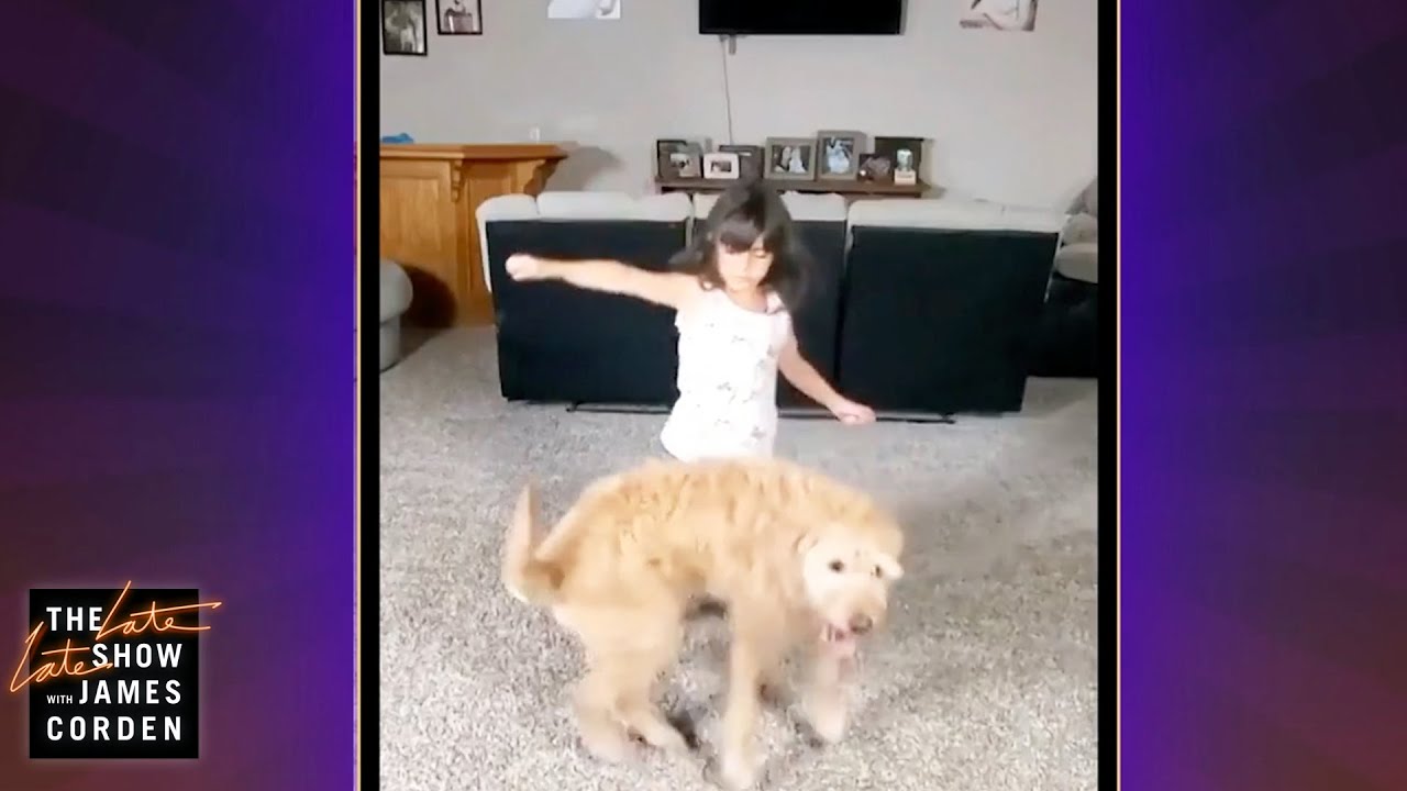 This Little Girl & Family Dog Have a BOND - 3 Things to Cheer You Up