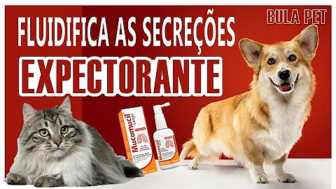 Quantos mL tem uma borrifada de Mucomucil?
