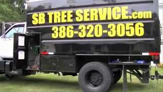 SB Tree Services (Introduction to what we do)