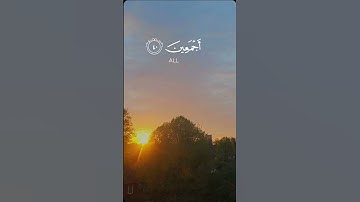 تلاوة خاشعة مبكية للشيخ محمد المحيسني ماتيسر من سورة الدخان