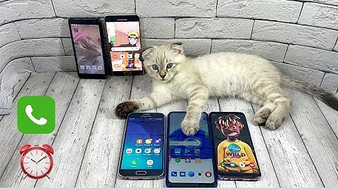 Cat vs Phone Timer o Clock Alam Cat Clock Samsung A5 S6 S8 Xiaomi