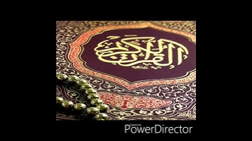 تلاوة رائعة بصوت القارئ بيشةوا قادر الكردي -سورة التكاثر