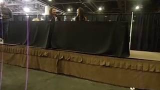 Phoenix Fan Fest 2017. WWE Divas panel