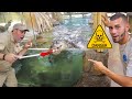 FEEDING ALLIGATORS in a PET STORE! **GONE WRONG!**