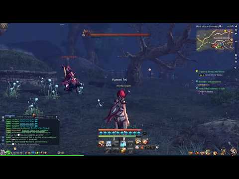 Blade and Soul NA connection delay more than 300ms