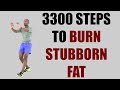 3300 Steps to Burn Stubborn Fat/ 30 Minute Walk at Home Workout