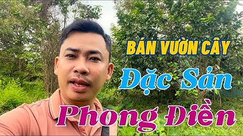 ĐẤT VƯỜN CÂY ĂN TRÁI TẠI XÃ PHONG ĐIỀN TP CẦN THƠ | Linh Cần Thơ