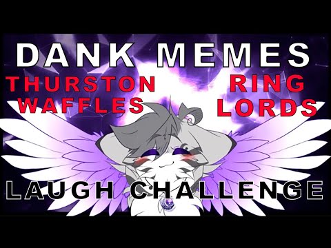 memes-#15-for-thurston-waffles-and-ring-lords-(laugh-challenge)