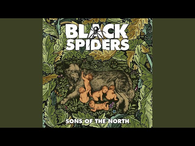 Black Spiders - What Good's A Rock Without A Roll?