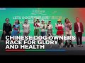 Chinese dog owners race for glory and health