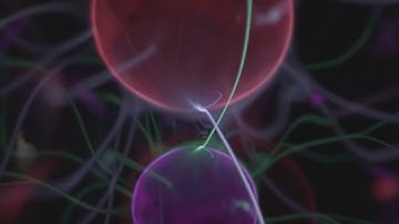 Sven Väth - We Are (Official Video)