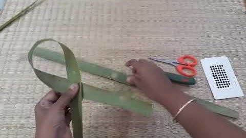 Coconut leaf parrot