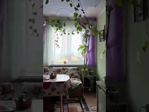 زلزال يضرب شرق روسيا