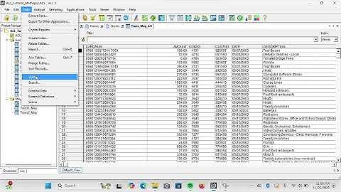Tutorial ACL91 Chapter 7 - Validate, Correct, and Extract Data