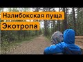 В Налибокскую пущу на велосипеде: экотропа в д.Белокорец!