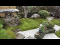 【美しすぎる】日本庭園の苔庭 〇〇邸 Japanese Moss Garden