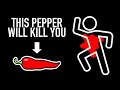 Understanding the Dangers of Extremely Hot Peppers