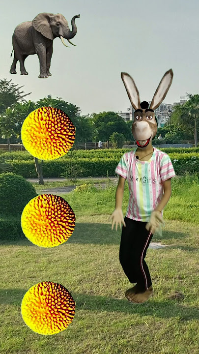 yellow kadambas to elephant, 🐘 horse, lion & tiger #shorts #viral