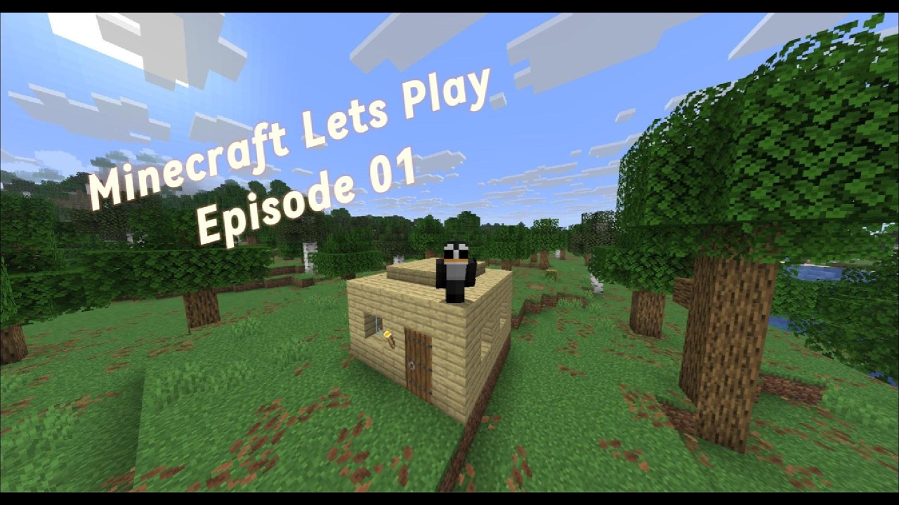 My First Minecraft Let's Play "Surviving My First Night" Episode 1 ...