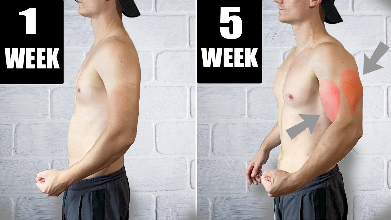 Calisthenics Workout | Bigger Arms in 5 WEEKS | Home workout | #6 - YouTube