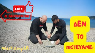 Ψάρεμα στο λιμάνι Κορίνθου – Δεν θα πιστεύετε ΤΙ βγήκε!!! #ψάρεμα #fishing