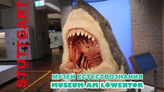 ШТУТГАРТ - 2/  МУЗЕЙ ЕСТЕСТВОЗНАНИЯ / STUTTGART - 2 MUSEUM  AM LÖWENTOR