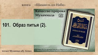 101. Качества Пророка ﷺ.  Образ питья (2).