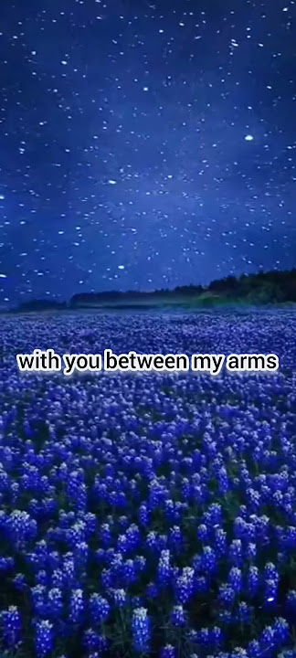 willian valent - Perfect