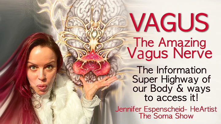 The AMAZING VAGUS Nerve Our Information SUPERHIGHW...