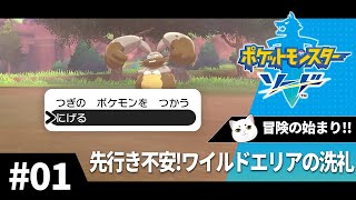 初めてのポケモン剣盾　Part.1