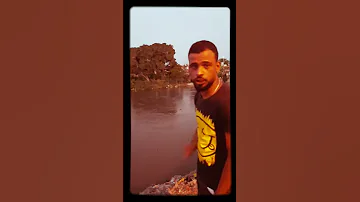 تمساح بحر بشان كفرالشيخ 