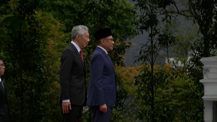 馬來西亞首相安華抵新 展開任內首次訪問 - 天天要聞