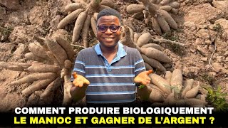 Comment produire biologiquement son manioc et y trouver son compte ?