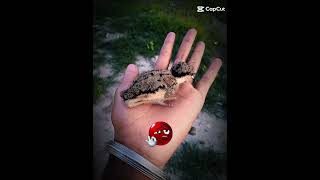 like subscribe Paras pathar Patel