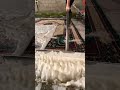 Foam scraping #8 #satisfying #carpetcleaning #carpet #foam #smooth