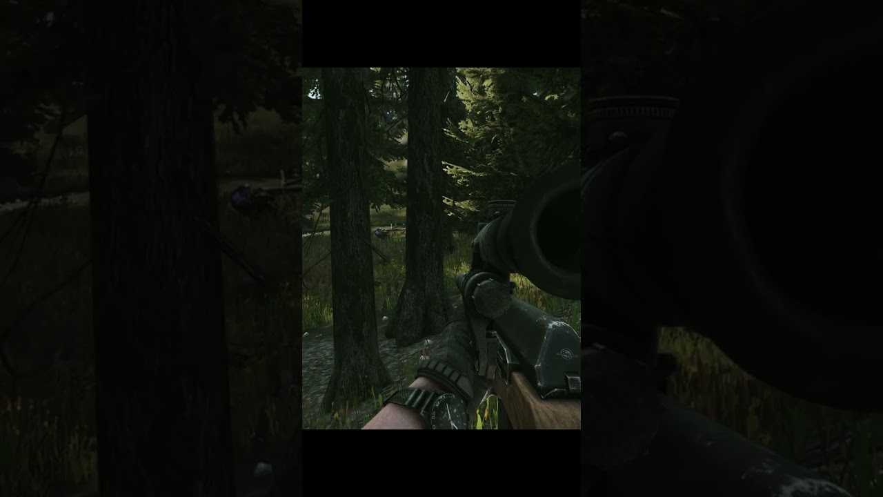 A stroll through Woods Tarkov! 