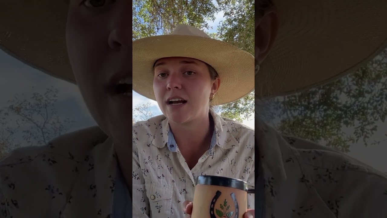 There are 3 ways to train a horse. Force, reward, or connection. I choose connection  