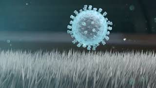 VIDEO microSURE™ Multi-Surface Disinfectant/Protectant - kills Covid-19 and 200+ pathogens