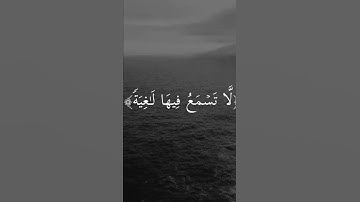 القرآن الكريم / سورة الغاشية