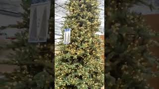 #Costco #Christmas Tree#Shorts #THANKSGIVING SALES