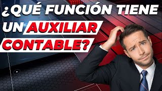 Qué Función Tiene Un Auxiliar Contable En Un Negocio?