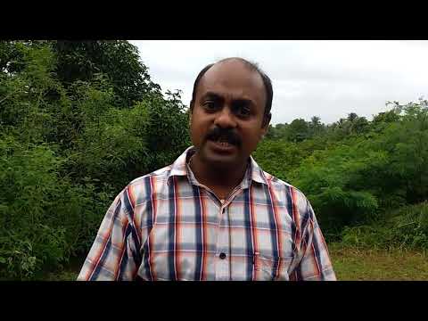 Why Is Seasonality of Food Important? - YouTube