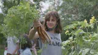 Farm Spotlight: Stony Creek Farmstead in Walton, New York