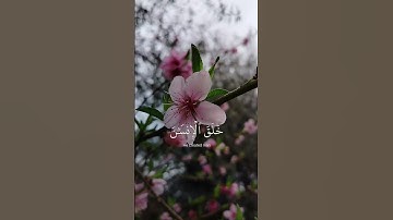 @islam_sobhi ماتيسر من سورة الرحمان #اكسبلور #راحة_نفسية